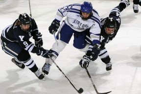 互联网企业运动会 在杭州举办 程序员与产品经理争抢三分王